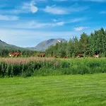 キャンプ場 Torfoss Gard, Utleie, Campingvogn Og Bobil Plasser