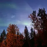 Torfoss Gard, Utleie, Campingvogn Og Bobil Plasser * Potka