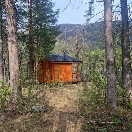 Torfoss Gard, Utleie, Campingvogn Og Bobil Plasser * Potka