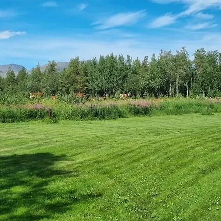 Torfoss Gard, Utleie, Campingvogn Og Bobil Plasser * Potka