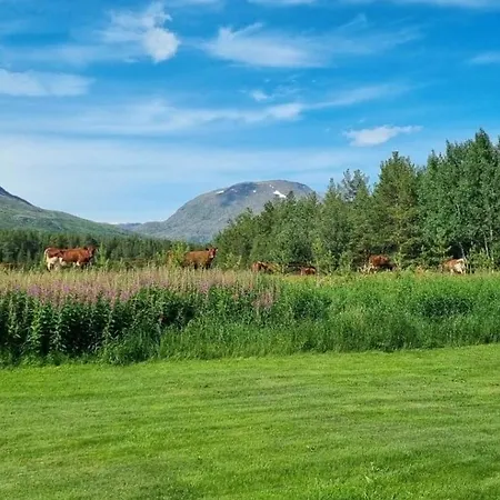 مكان تخييم Torfoss Gard, Utleie, Campingvogn Og Bobil Plasser