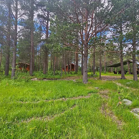 Torfoss Gard, Utleie, Campingvogn Og Bobil Plasser مكان تخييم *