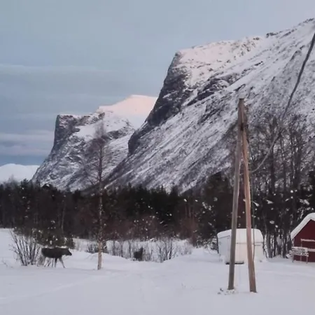 Torfoss Gard, Utleie, Campingvogn Og Bobil Plasser Potka