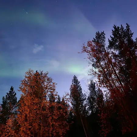 Torfoss Gard, Utleie, Campingvogn Og Bobil Plasser * Potka