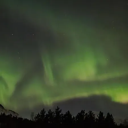 Camping Torfoss Gard, Utleie, Campingvogn Og Bobil Plasser Potka