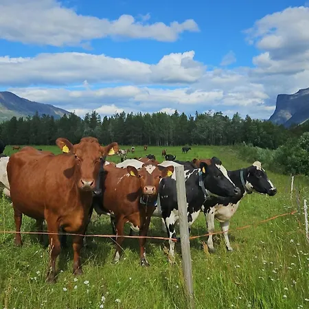 Torfoss Gard, Utleie, Campingvogn Og Bobil Plasser *