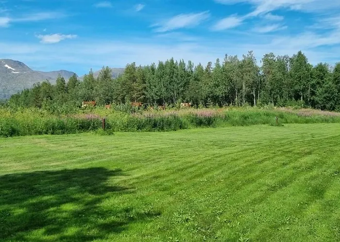 Torfoss Gard, Utleie, Campingvogn Og Bobil Plasser * Potka