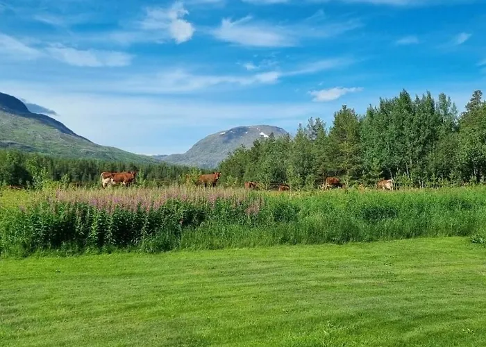 Camping Torfoss Gard, Utleie, Campingvogn Og Bobil Plasser