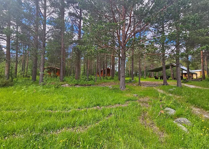 Torfoss Gard, Utleie, Campingvogn Og Bobil Plasser Camping *