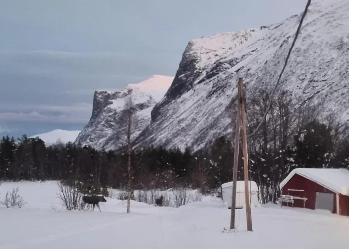 Torfoss Gard, Utleie, Campingvogn Og Bobil Plasser Potka