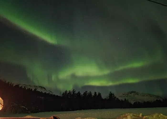 Torfoss Gard, Utleie, Campingvogn Og Bobil Plasser
